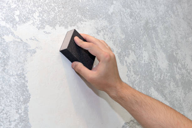 Best Mold Prevention Services  in Frederic, WI