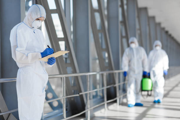 Best Basement Mold Removal  in Frederic, WI