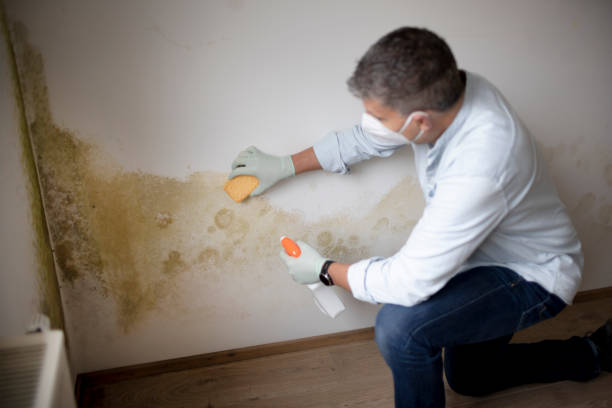 Best HVAC Mold Inspection and Cleaning  in Frederic, WI