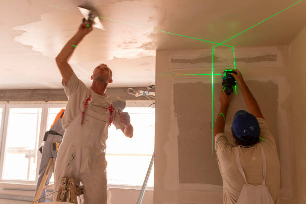 Best Post-Construction Mold Inspection  in Frederic, WI